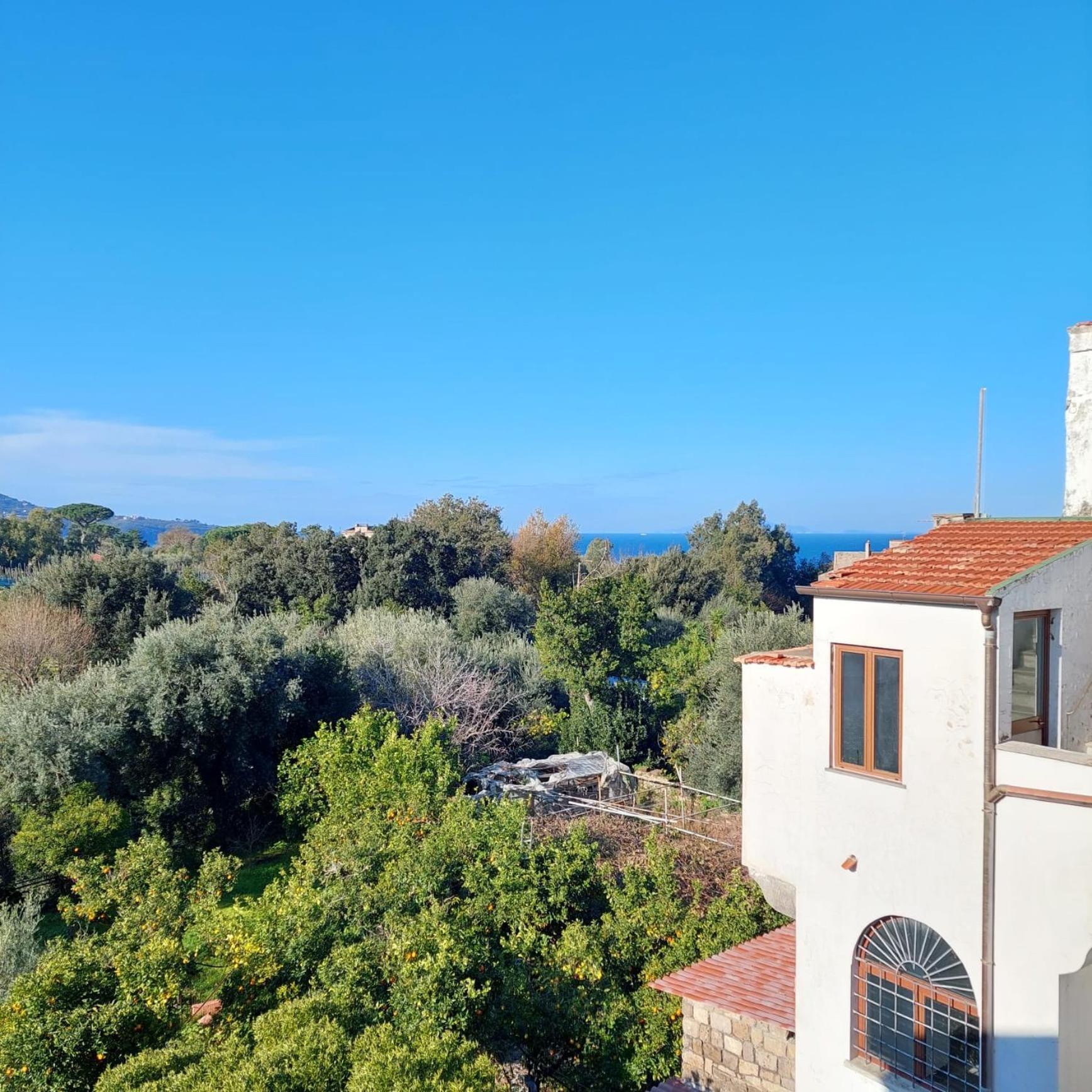 Il Giardino Dei Gigli